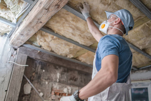 Best Residential Insulation in Toledo, OH