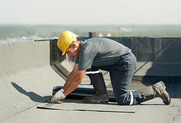 Best Insulation Installation Services in Toledo, OH