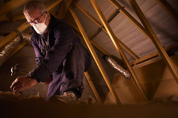 Best Insulation Maintenance and Repair in Toledo, OH